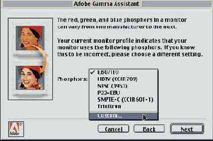     Adobe Gamma